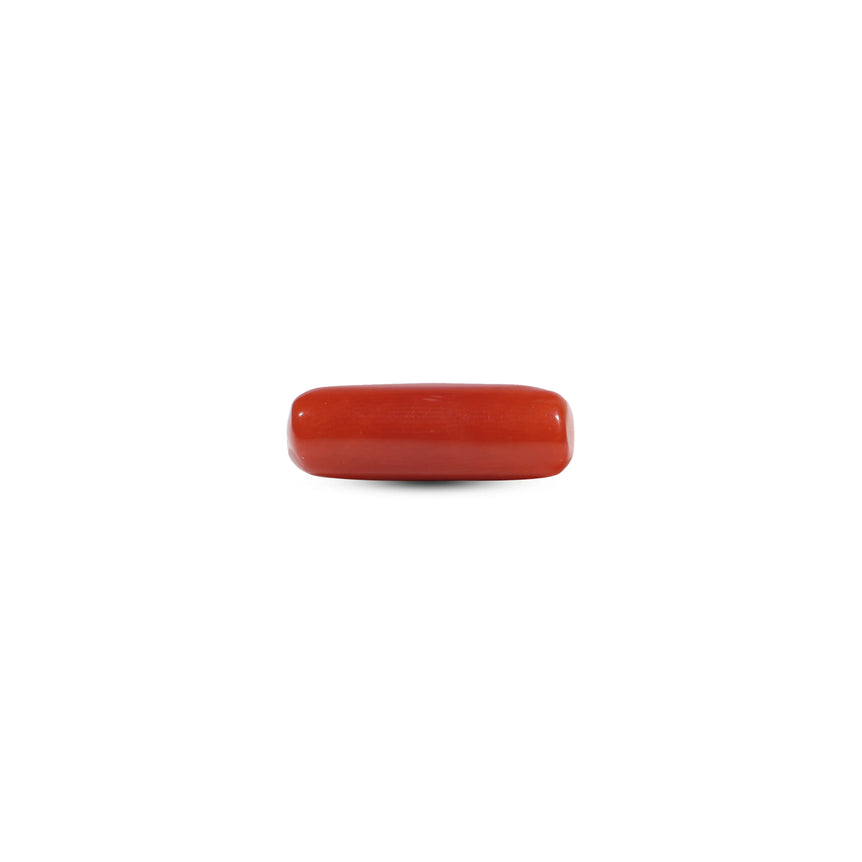 Red Coral - 5.9 Carat
