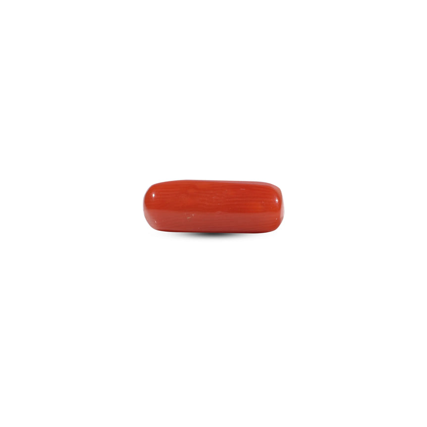 Red Coral - 6.35 Carat - Pramogh