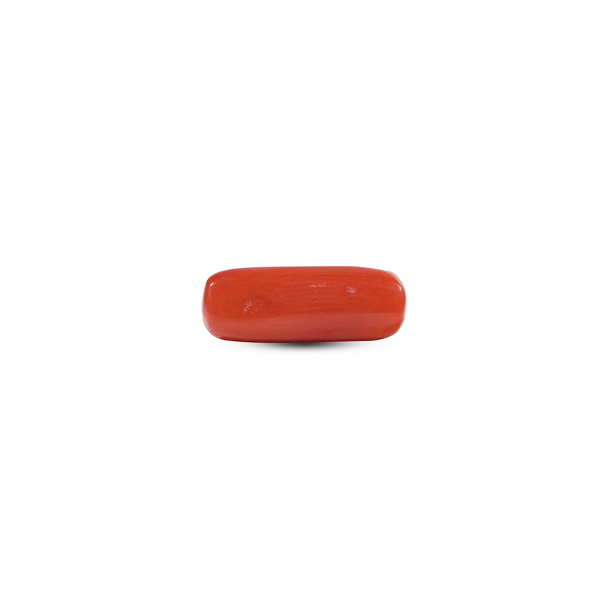 Red Coral - 6.35 Carat
