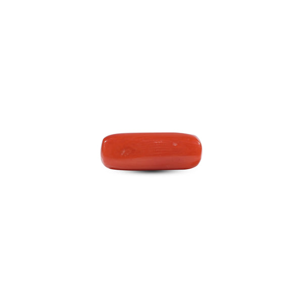 Red Coral - 6.35 Carat