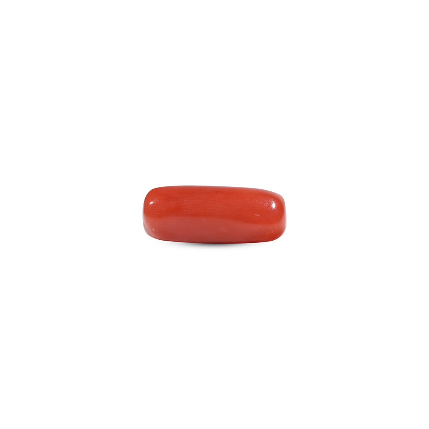 Red Coral - 6.85 Carat - Pramogh