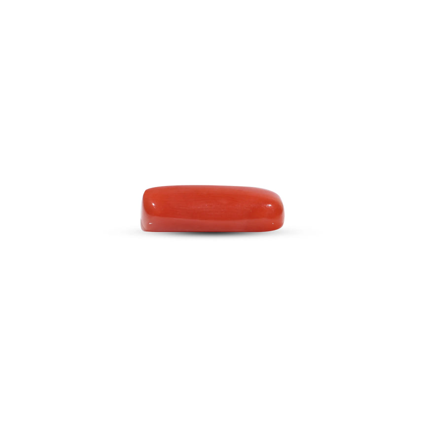 Red Coral - 6.85 Carat