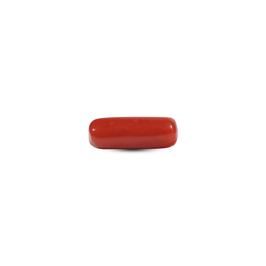 Red Coral - 6.05 Carat