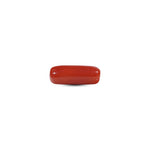 Red Coral - 7.25 Carat - Pramogh