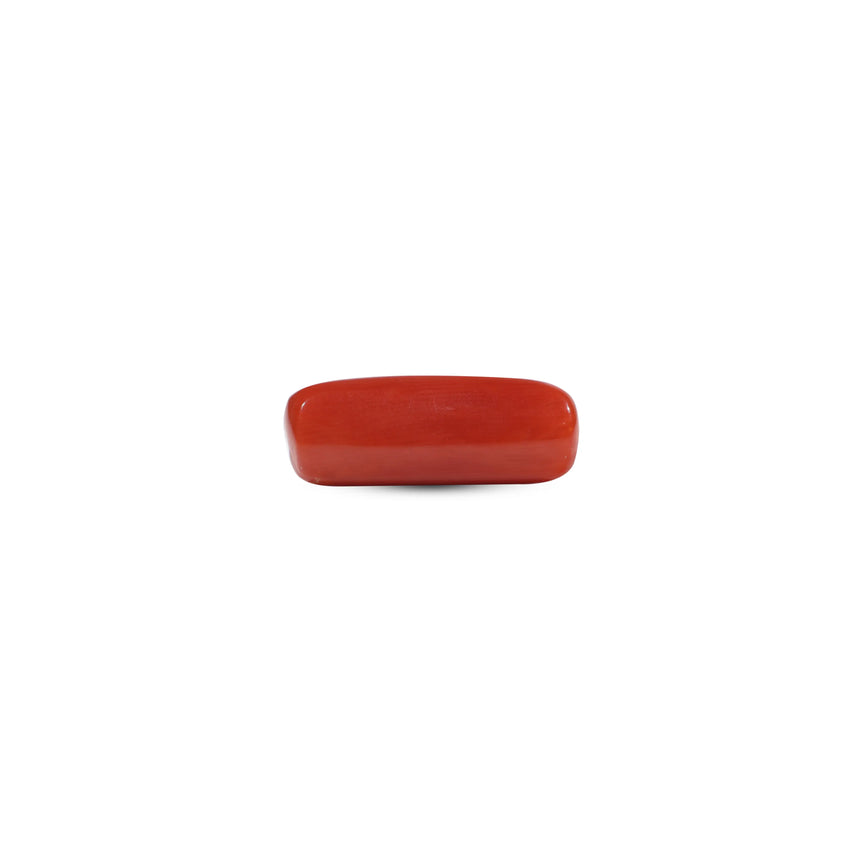 Red Coral - 7.25 Carat