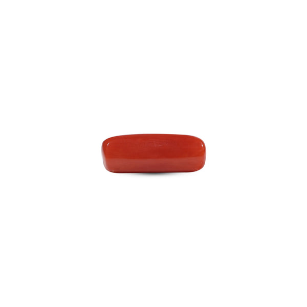 Red Coral - 7.25 Carat