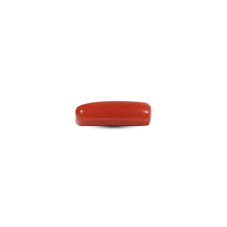 Red Coral - 7.25 Carat