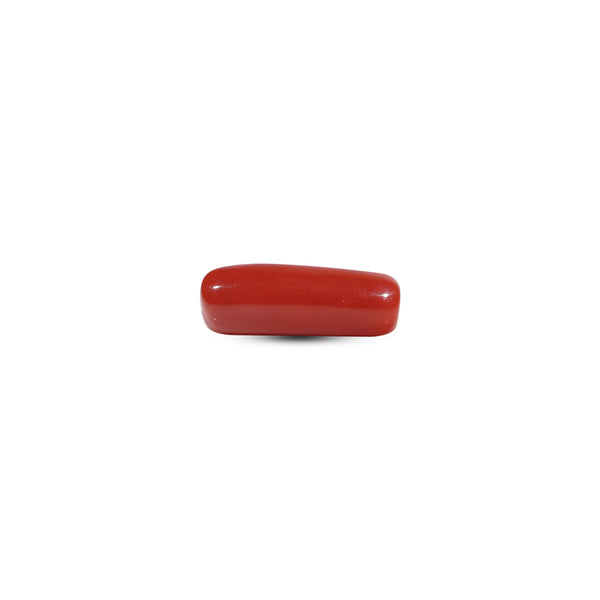 Red Coral - 7.2 Carat - Pramogh