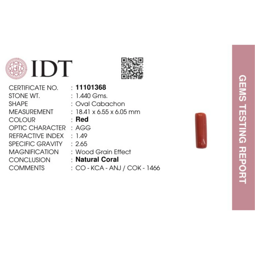 Red Coral - 7.2 Carat