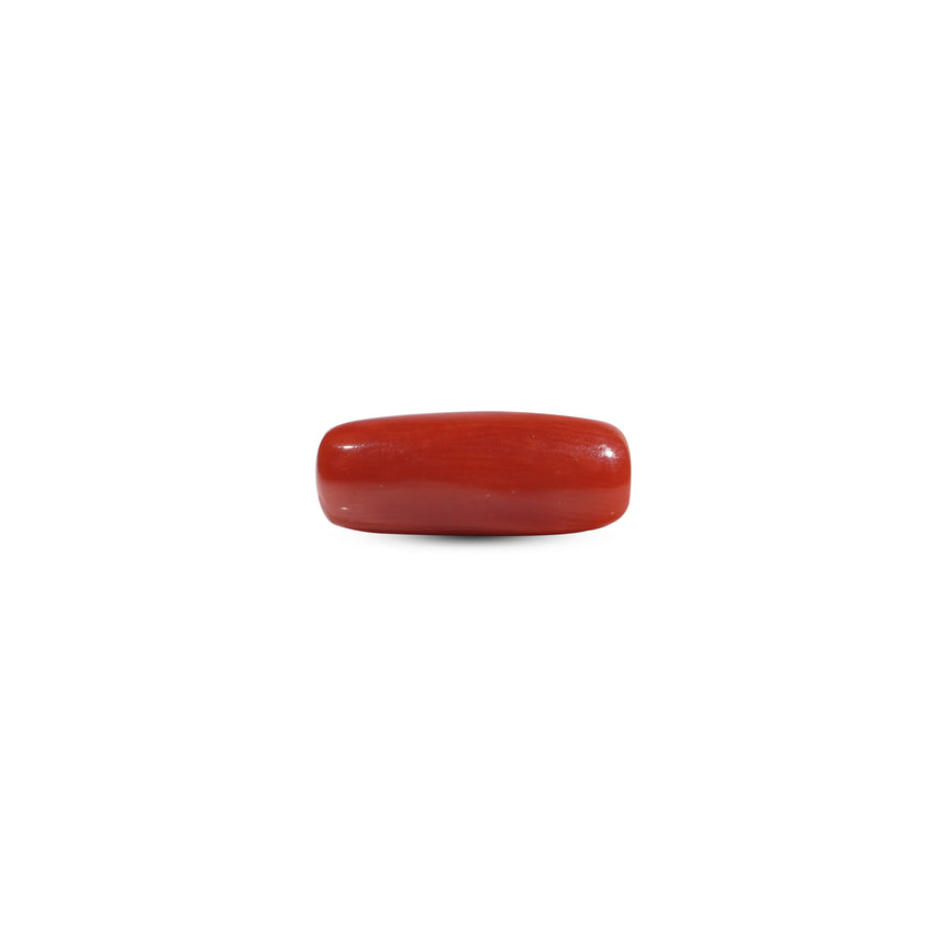 Red Coral - 6.85 Carat - Pramogh
