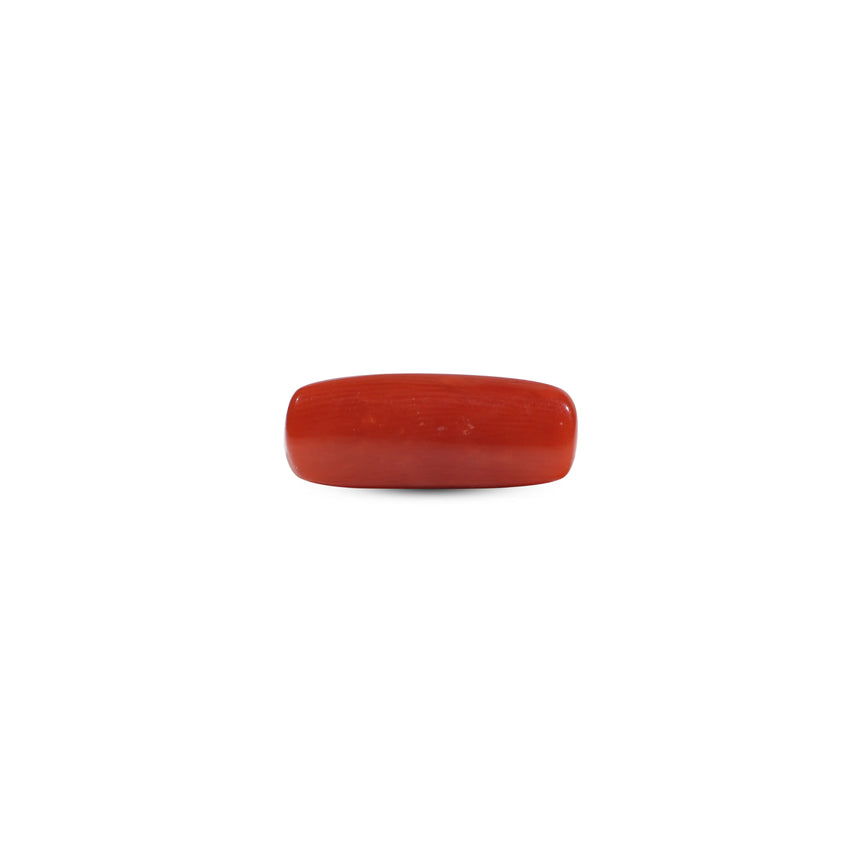Red Coral - 6.85 Carat