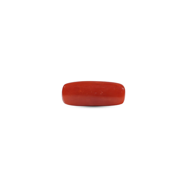 Red Coral - 6.85 Carat