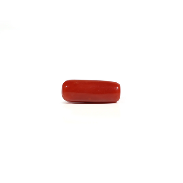 Red Coral - 6.3 Carat - Pramogh