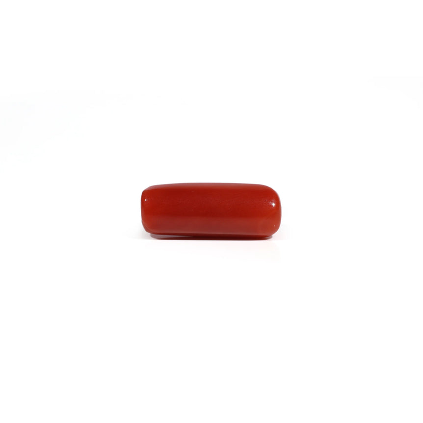 Red Coral - 6.3 Carat
