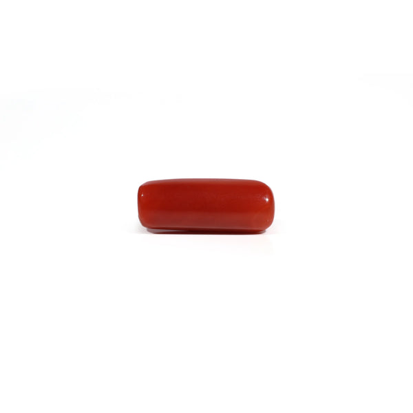 Red Coral - 6.3 Carat