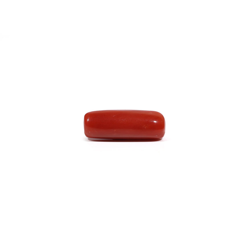 Red Coral - 6.3 Carat