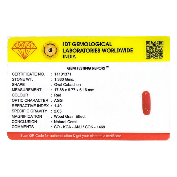 Red Coral - 6.65 Carat