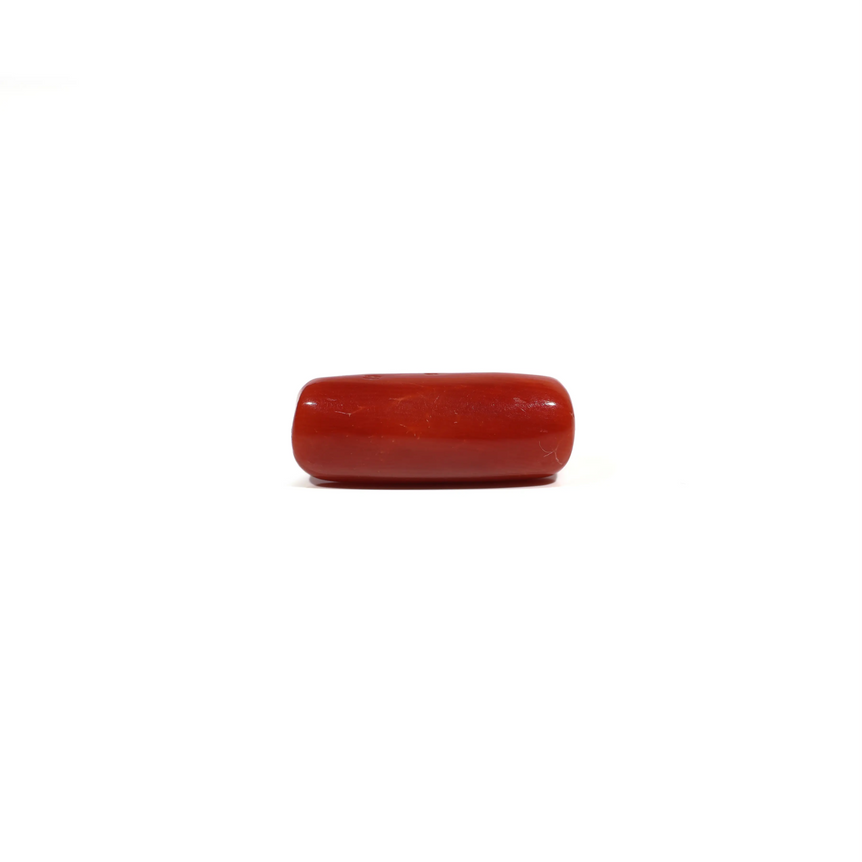 Red Coral - 7.2 Carat - Pramogh