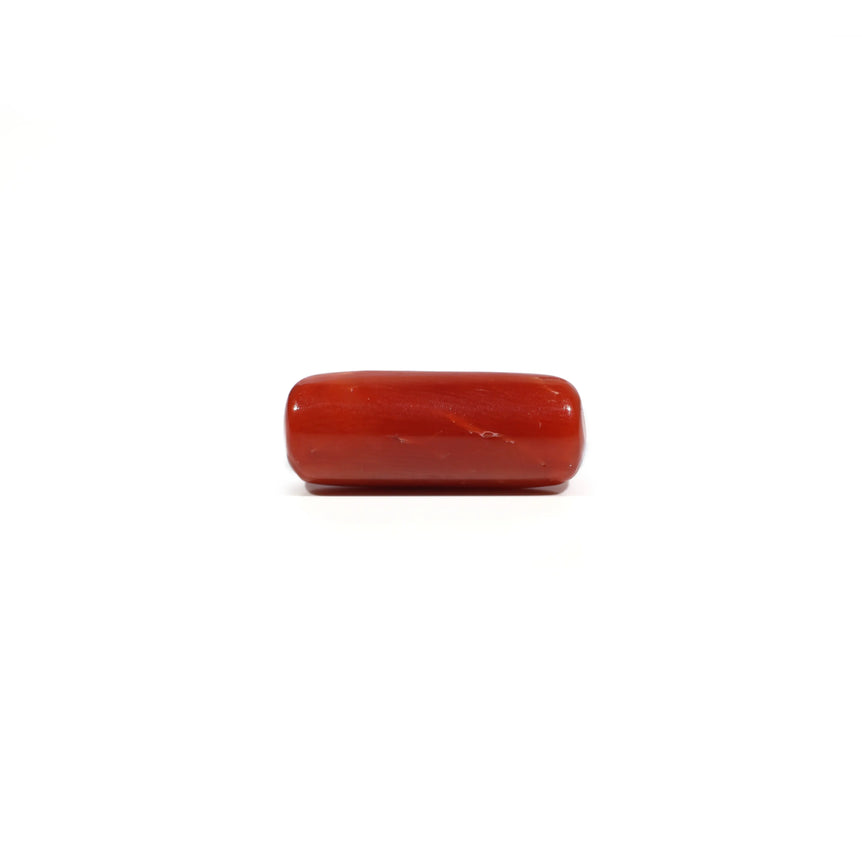 Red Coral - 7.2 Carat