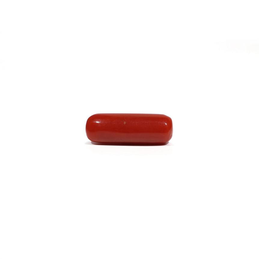 Red Coral - 7 Carat - Pramogh