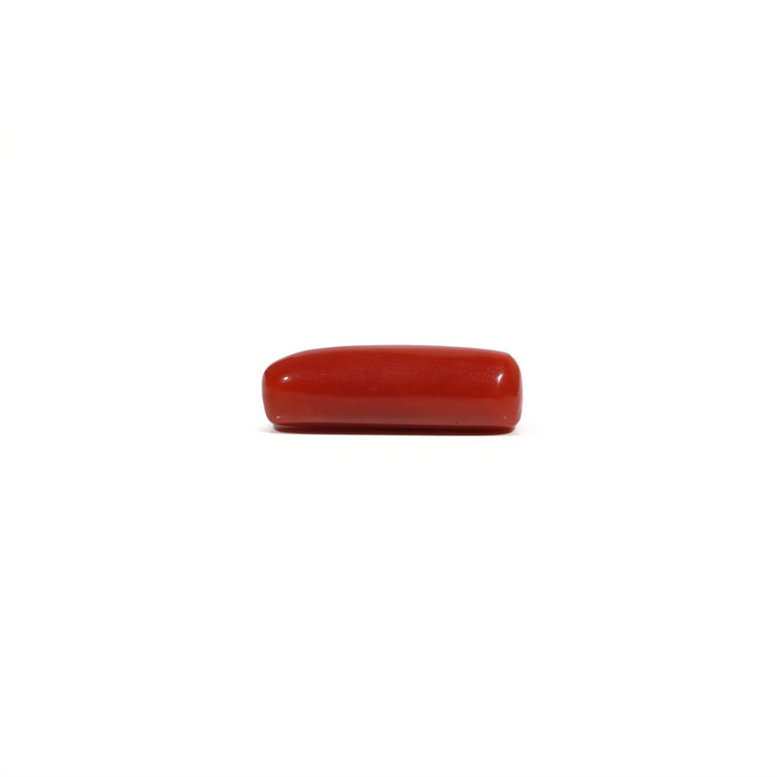 Red Coral - 7 Carat