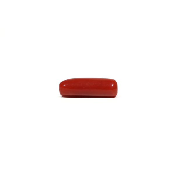 Red Coral - 7 Carat