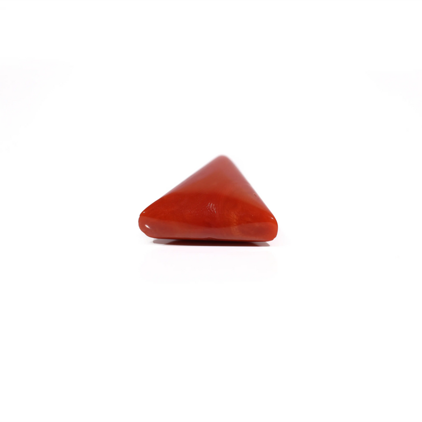 Red Coral - 12.6 Carat