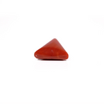 Red Coral - 12.6 Carat