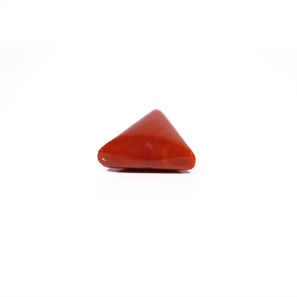 Red Coral - 12.6 Carat