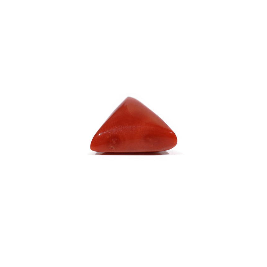 Red Coral - 9.9 Carat