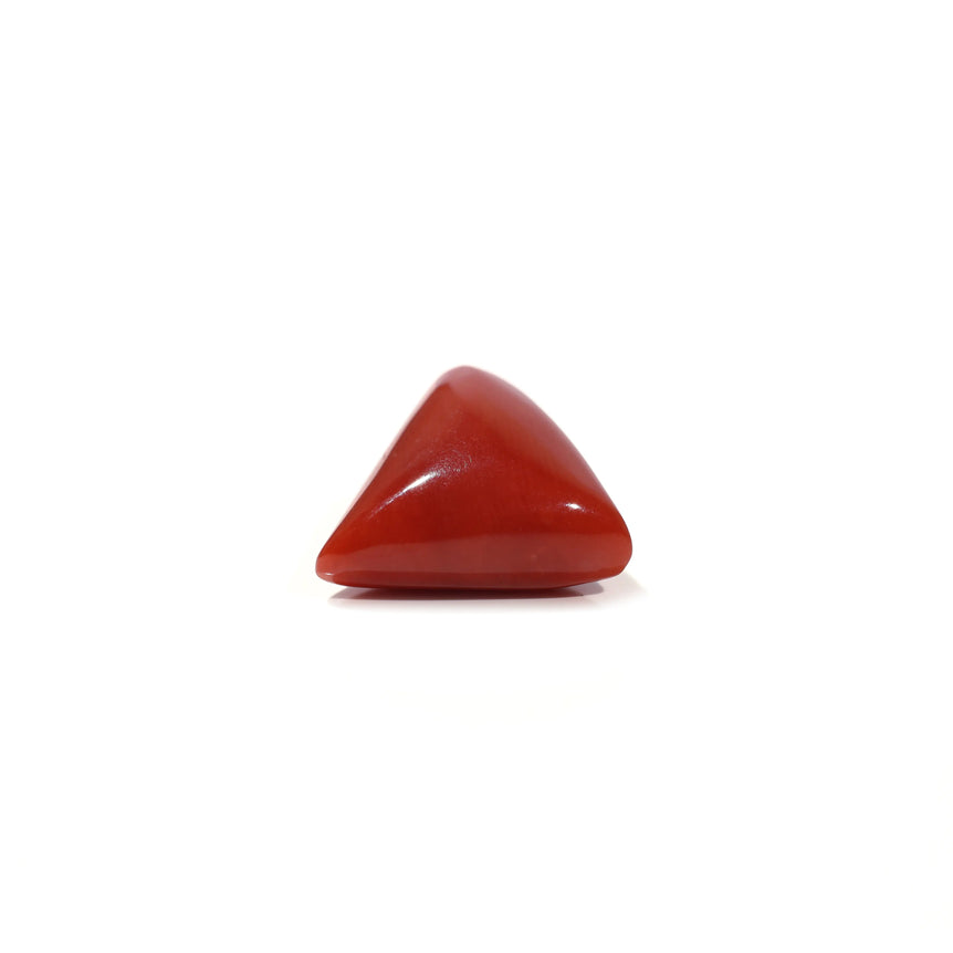 Red Coral - 11.05 Carat