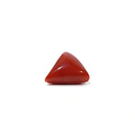 Red Coral - 11.05 Carat