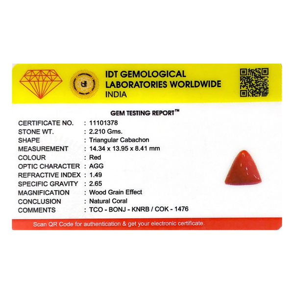 Red Coral - 11.05 Carat