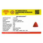 Red Coral - 11.05 Carat