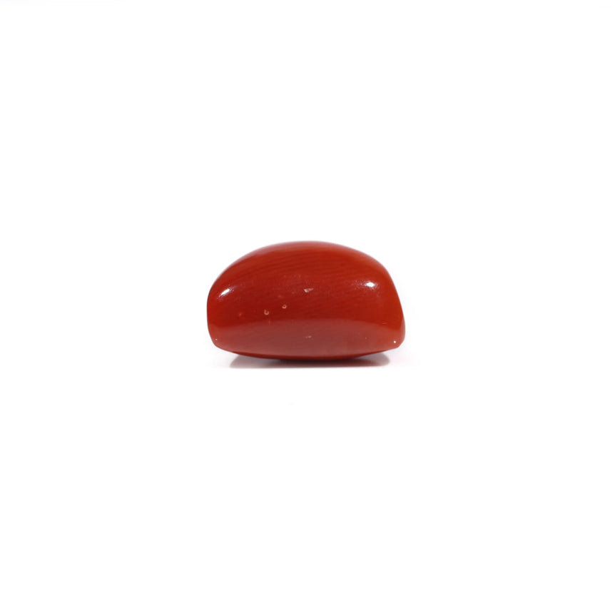 Red Coral - 11.3 Carat