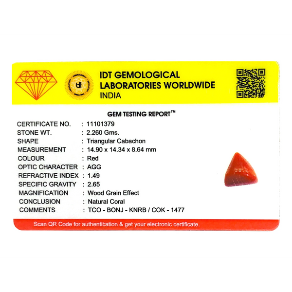 Red Coral - 11.3 Carat