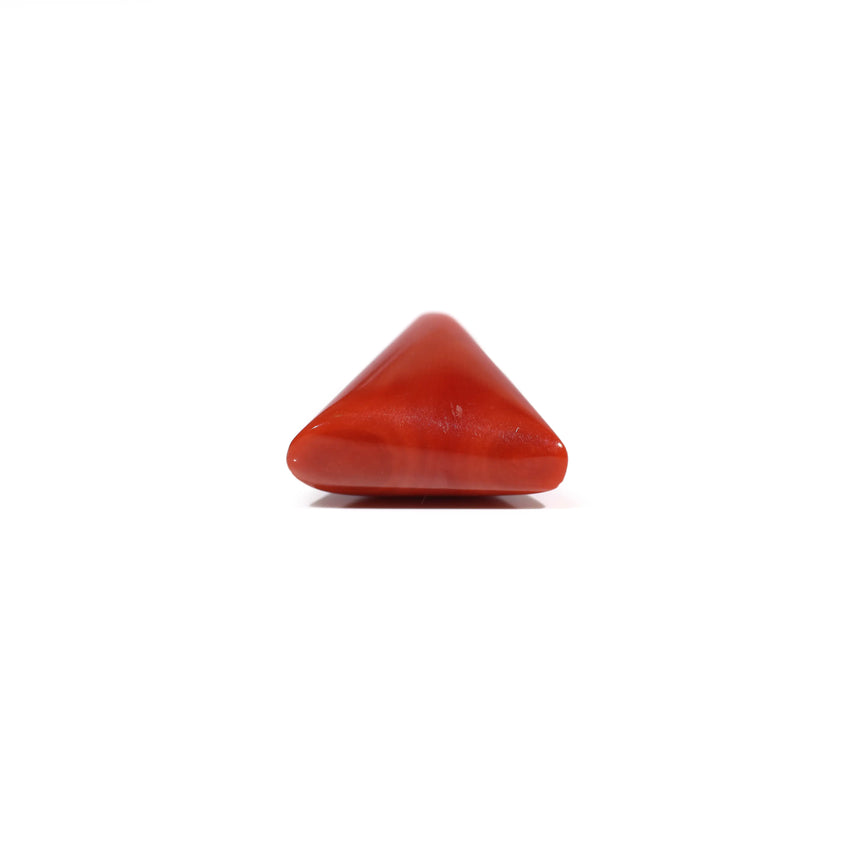Red Coral - 10.65 Carat