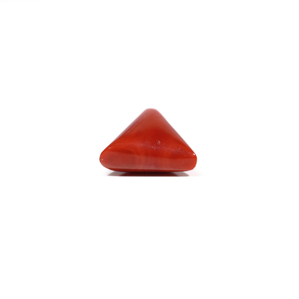Red Coral - 10.65 Carat