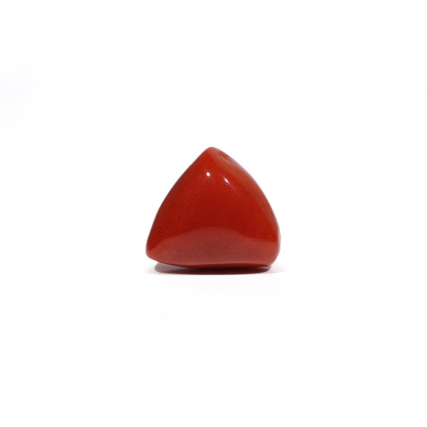  Red Coral - 11.75 Carat - Pramogh
