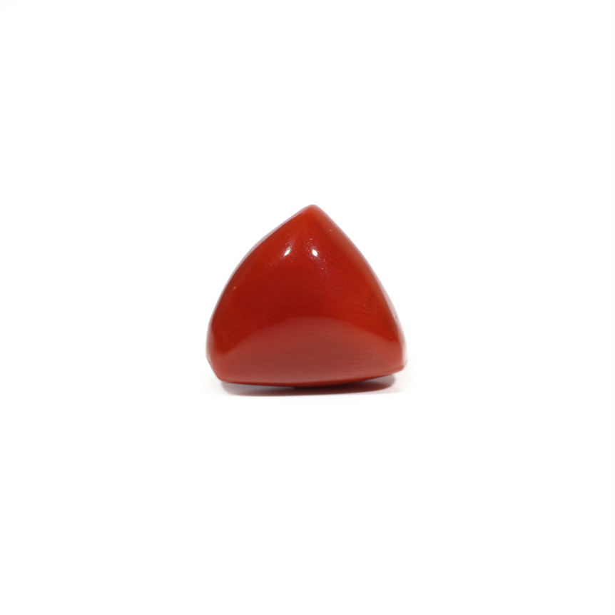 Red Coral - 11.75 Carat