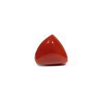 Red Coral - 11.75 Carat