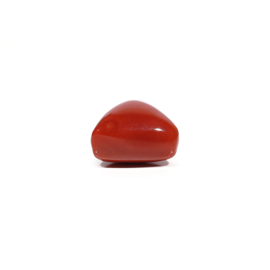 Red Coral - 11.75 Carat