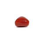 Red Coral - 11.75 Carat