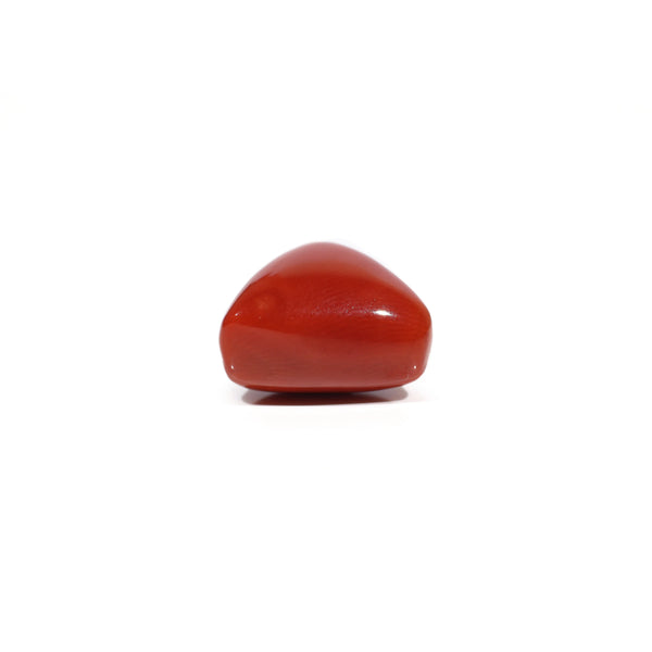 Red Coral - 11.75 Carat