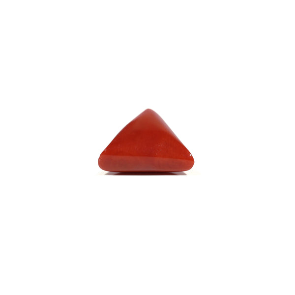 Red Coral - 11.15 Carat