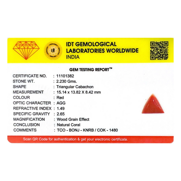 Red Coral - 11.15 Carat