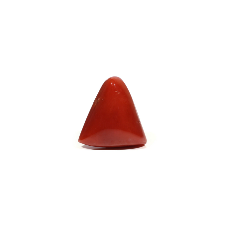  Red Coral - 10.55 Carat - Pramogh