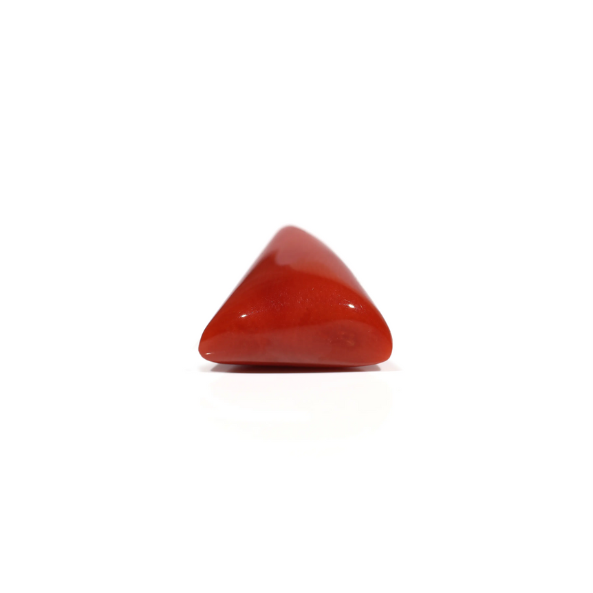 Red Coral - 10.55 Carat