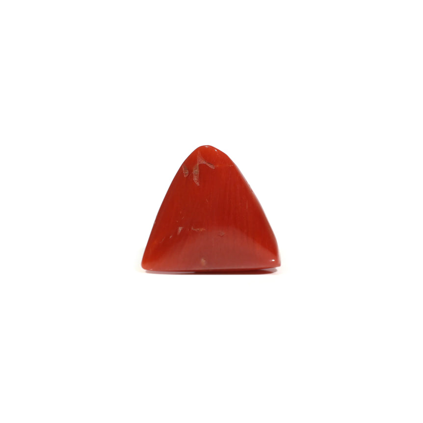 Red Coral - 9.15 Carat