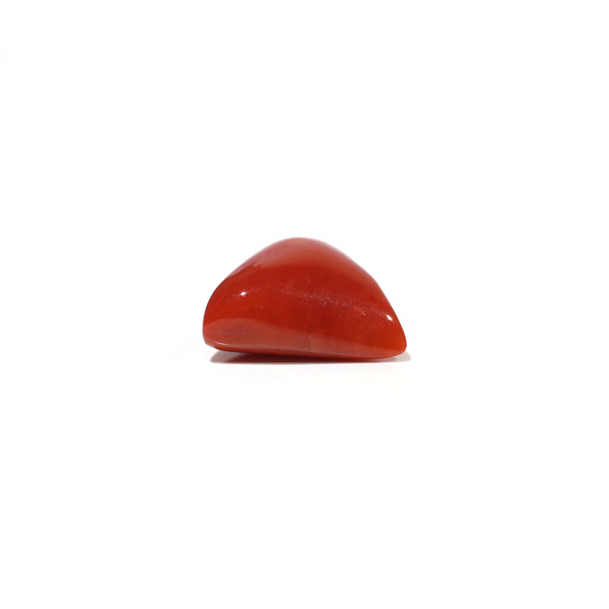 Red Coral - 9.15 Carat